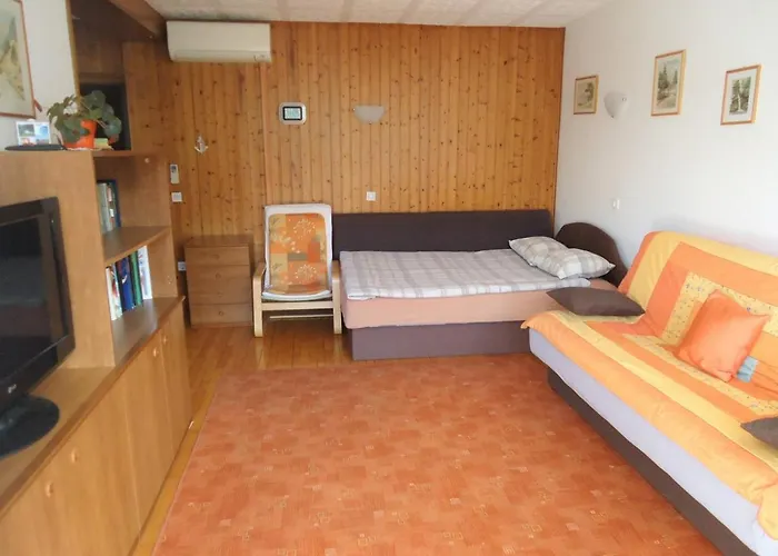 公寓 Apartma Gorjan *