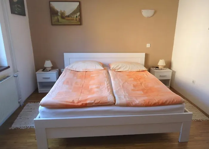 Apartma Gorjan 公寓