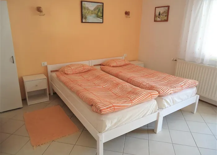 Apartma Gorjan * 托尔明