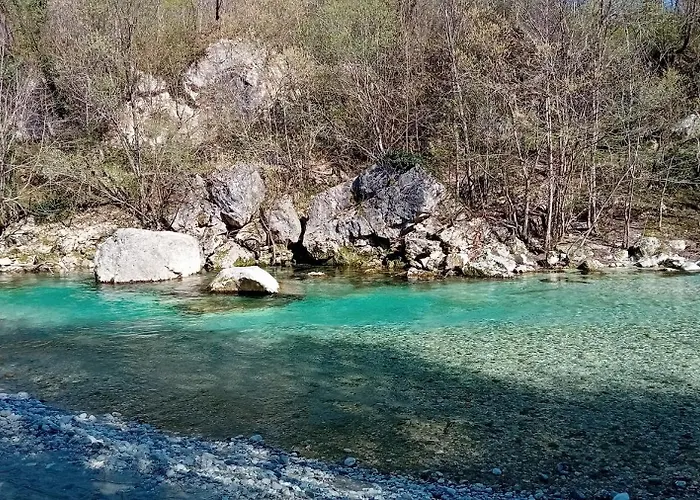 公寓 Apartma Gorjan 托尔明