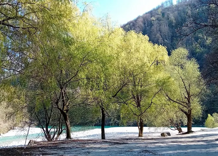 Lejlighed Apartma Gorjan *